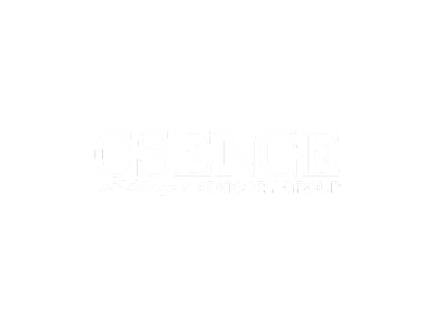 CSENGE