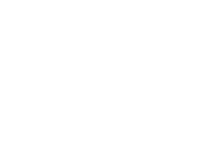DP dynasty