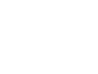 Fidelity