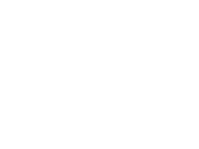 Merit