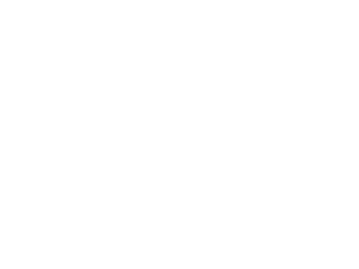 Wealth Enhancement Logo