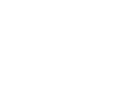 Lincoln Investment Logo